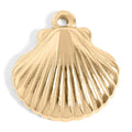 Shell Charm